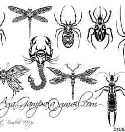 9套漂亮的昆虫花纹、刺青PS笔刷