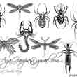 9套漂亮的昆虫花纹、刺青PS笔刷