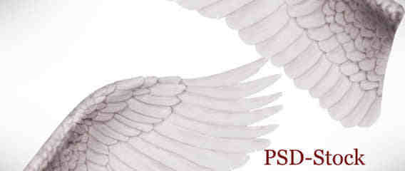 恶魔与天使的翅膀PSD素材
