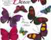 10种斑斓的蝴蝶造型笔刷