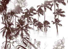 夏威夷风情椰子树笔刷