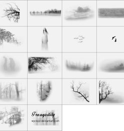 雾中的柳树与长发女人笔刷