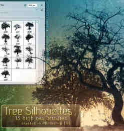 Photoshop CS5专用树木剪影笔刷