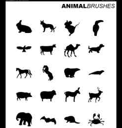 20种动物矢量笔刷下载