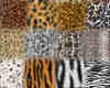 32种豹纹斑点花纹笔刷