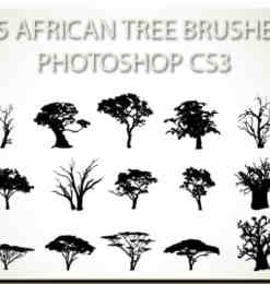 15种非洲树木笔刷下载