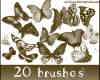20种品种不一的蝴蝶笔刷