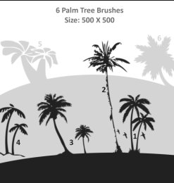 椰子树棕榈树笔刷