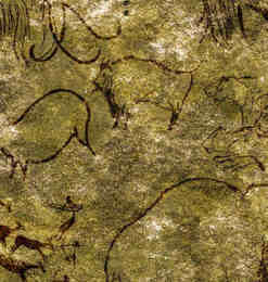 远古时期山洞壁画比赛