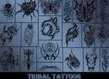 50个印第安部落的纹身笔刷