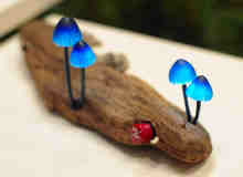 创意的松茸蘑菇式LED灯