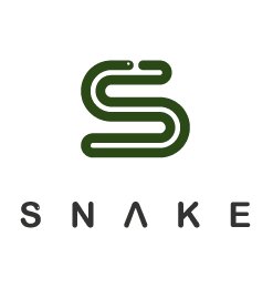 30个蛇形logo标志设计