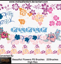 漂亮甜美的22个矢量花卉笔刷