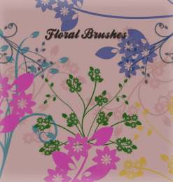 一套漂亮的矢量枝条花卉花纹笔刷