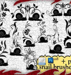 漂亮的蜗牛花纹装饰PS印花笔刷