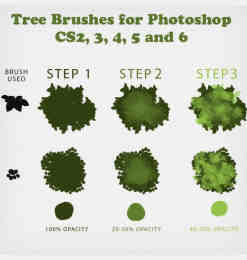 CG绘画艺术效果树叶、绿色背景PS笔刷