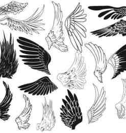 新款手绘神话卡通PS天使羽毛翅膀笔刷
