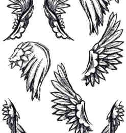 铅笔手绘素描天使羽毛翅膀PS笔刷