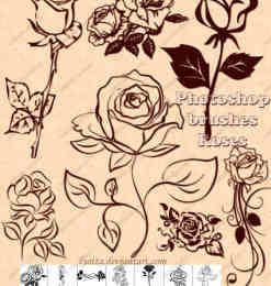 精致的玫瑰花印花图案PS笔刷