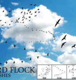 天空中飞翔的鸟群PS笔刷 #.1