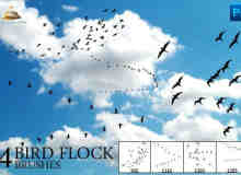 天空中飞翔的鸟群PS笔刷 #.1