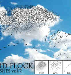 天空中飞翔的鸟群PS笔刷 #.2