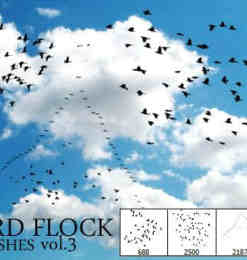天空中飞翔的鸟群PS笔刷 #.3