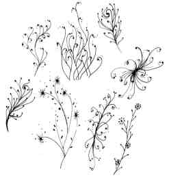 手绘植物嫩条、枝条花纹PS笔刷