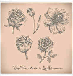 漂亮的素描式手绘鲜花花纹笔刷