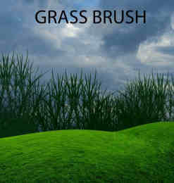 绿色草皮、青草草坪、草地PS笔刷