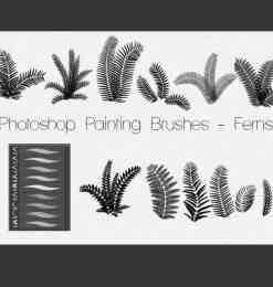 Photoshop蕨类植物素材笔刷下载