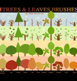 矢量绘画的植物树木PS笔刷下载