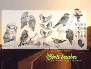 猫头鹰、啄木鸟、麻雀等鸟类PS笔刷