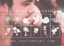 手绘玫瑰花、鲜花图案PS笔刷下载