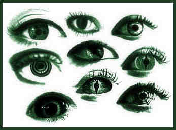 女性的眼睛Photoshop笔刷素材