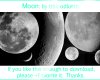 月球、月亮阴晴圆缺photoshop笔刷素材下载