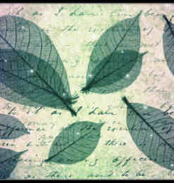 梦幻的绿叶纹理、半透明树叶photoshop笔刷素材下载