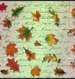 树叶、枫叶、落叶photoshop笔刷素材