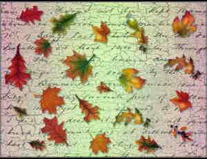 树叶、枫叶、落叶photoshop笔刷素材