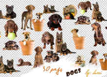 30个可爱小狗模样照片装饰素材-【美图秀秀素材】