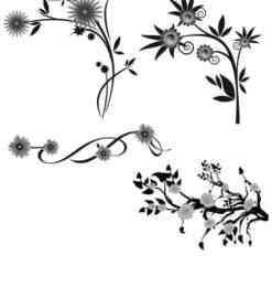漂亮矢量植物鲜花、花纹图案photoshop笔刷素材