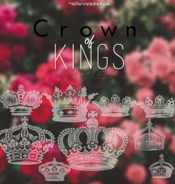 漂亮的矢量皇冠、王冠图案photoshop笔刷下载