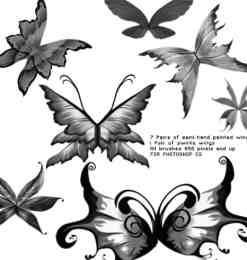 美丽的艺术蝴蝶photoshop笔刷素材