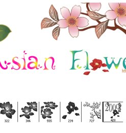 简单的绘画花朵图案photoshop笔刷免费素材下载