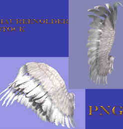 两对圣洁的天使侧翼天使翅膀美图秀秀、可牛影像素材