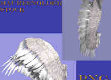 两对圣洁的天使侧翼天使翅膀美图秀秀、可牛影像素材