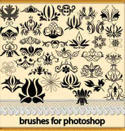 漂亮的花朵式花纹图案Photoshop笔刷素材
