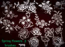 手绘玫瑰花、兰花、杜鹃、喇叭花等鲜花图案photoshop笔刷素材