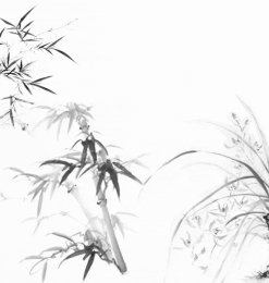 中国传统水墨国画竹子photoshop笔刷素材下载