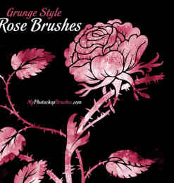 免费高品质玫瑰花图案PS素材笔刷下载